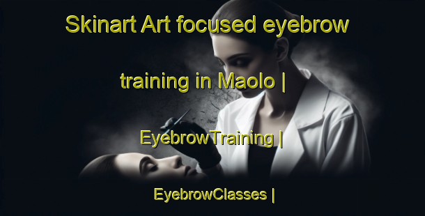 Skinart Art-focused eyebrow training in Maolo | EyebrowTraining | EyebrowClasses | SkinartTraining-the Democratic Republic of the Congo